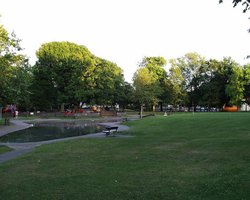 Paddling Pool Wallpaper