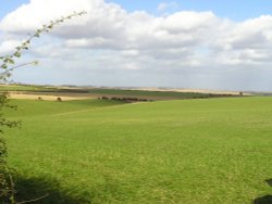 Yorkshire Wolds, Nr. Kilham