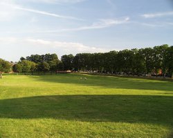 Recreational Area Wallpaper