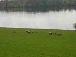 Rutland Water, Oakham, Rutland. Spring 2004 Wallpaper