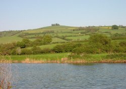 River Avon at Saltford, Somerset, looking towards Kelston Round Hill
