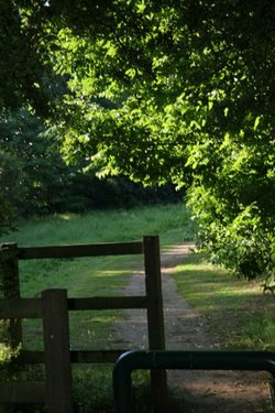 Around the Don Valley at Sprotbrough