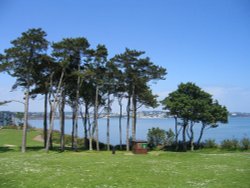 Roundham Gardens, Paignton with Torquay in the distance. Wallpaper