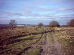 Looking toward Stafford Wallpaper
