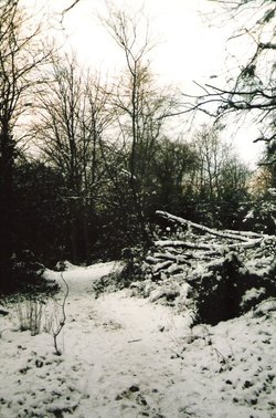 Horsenden Hill (Whitton Drive)