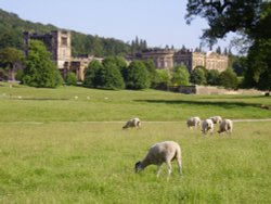 Chatsworth House, Derbyshire Wallpaper