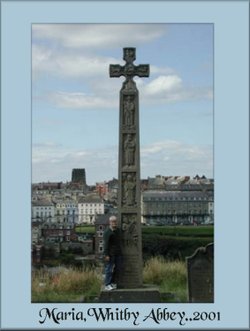A picture of Whitby