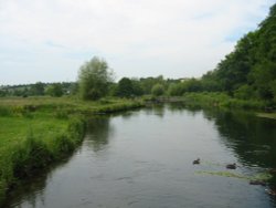 River Test at Longstock, Hampshire