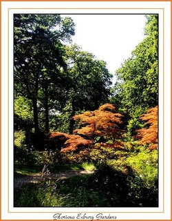 July 2005. Exbury