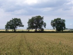 Binbrook Top Farm, Binbrook July 15th 05