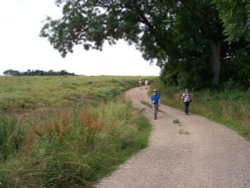 Thorpe Le Vale nr Binbrook July 15th 05