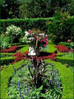 The cottage garden Stapehill