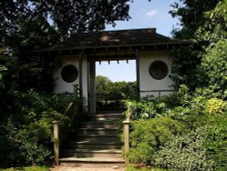 A picture of Stapehill Wallpaper