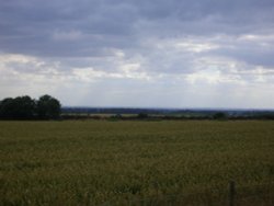 Lincolnshire view, South of Horncastle.