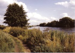 The River Thames near Eton wick, Berkshire.