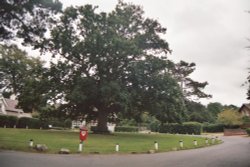 Fishbourne, Fishbourne Lane