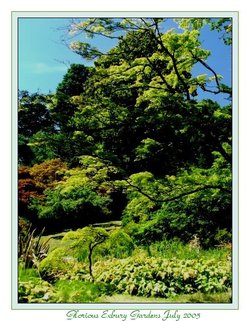 July at Exbury Gardens.