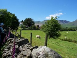 Hoathwaite Farm nr Coniston, Cumbria July 05 Wallpaper