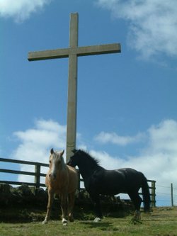 Mossley Cross