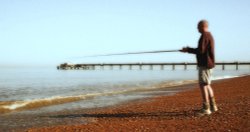 Fishing on Deal Beach Wallpaper