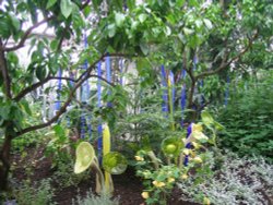 Kew Royal Botanical Gardens Wallpaper