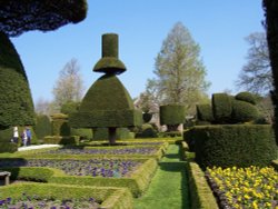 Levens Hall Garden, South Lakes