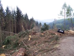 Dunerdale Forest after the January storms, 05 Wallpaper