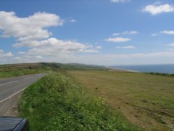 A picture of Abbotsbury Wallpaper