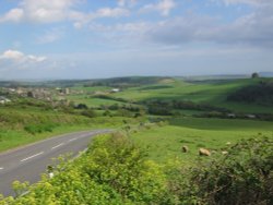 A picture of Abbotsbury Wallpaper