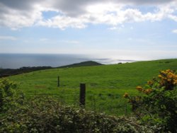 The Dorset coast, near Abbotsbury, England Wallpaper