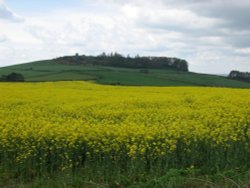 Abbotsbury, Dorset, England Wallpaper