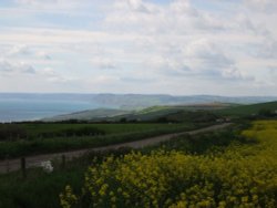 Looking towards West Bay, Dorset Wallpaper