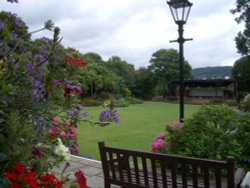 Garden in Sidmouth Wallpaper