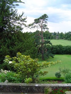 Berkeley Castle grounds