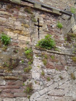 Berkeley Castle detail