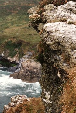 Cliffs at Tintagel, Cornwall