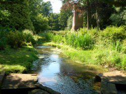 Bournemouth Gardens Wallpaper