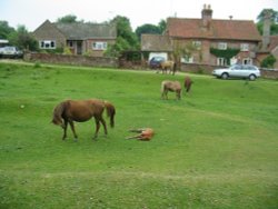 Woodgreen, Hampshire