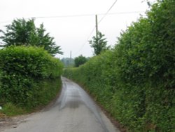 A picture of Whiteparish