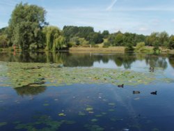 A country park with lots of birds and wildlife, in Little Lever. Wallpaper