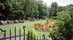 Park in Keswick Wallpaper