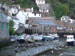 Polperro Harbour, Cornwall Wallpaper