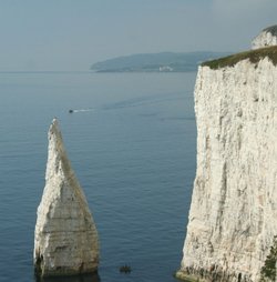 The Pinnacles, Studland, Dorset