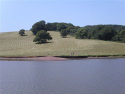 Dartmouth, Devon. The River Dart Wallpaper