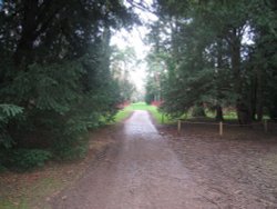 Westonbirt Arboretum. Winter Jan 2005 Wallpaper