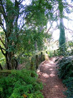 University Botanic Gardens, Cambridge