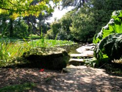 University Botanic Gardens, Cambridge Wallpaper