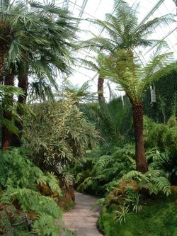 Tatton Park, Cheshire