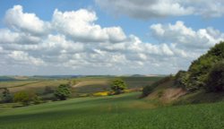 Lincolnshire Wolds, Nr Fulletby.