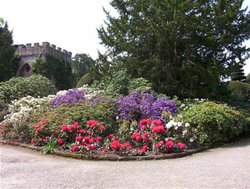 Gardens at Tatton Park, Cheshire. Wallpaper
